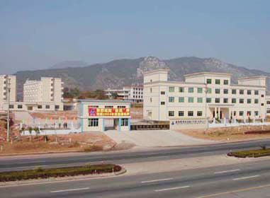 豐葉電器 豐葉電器